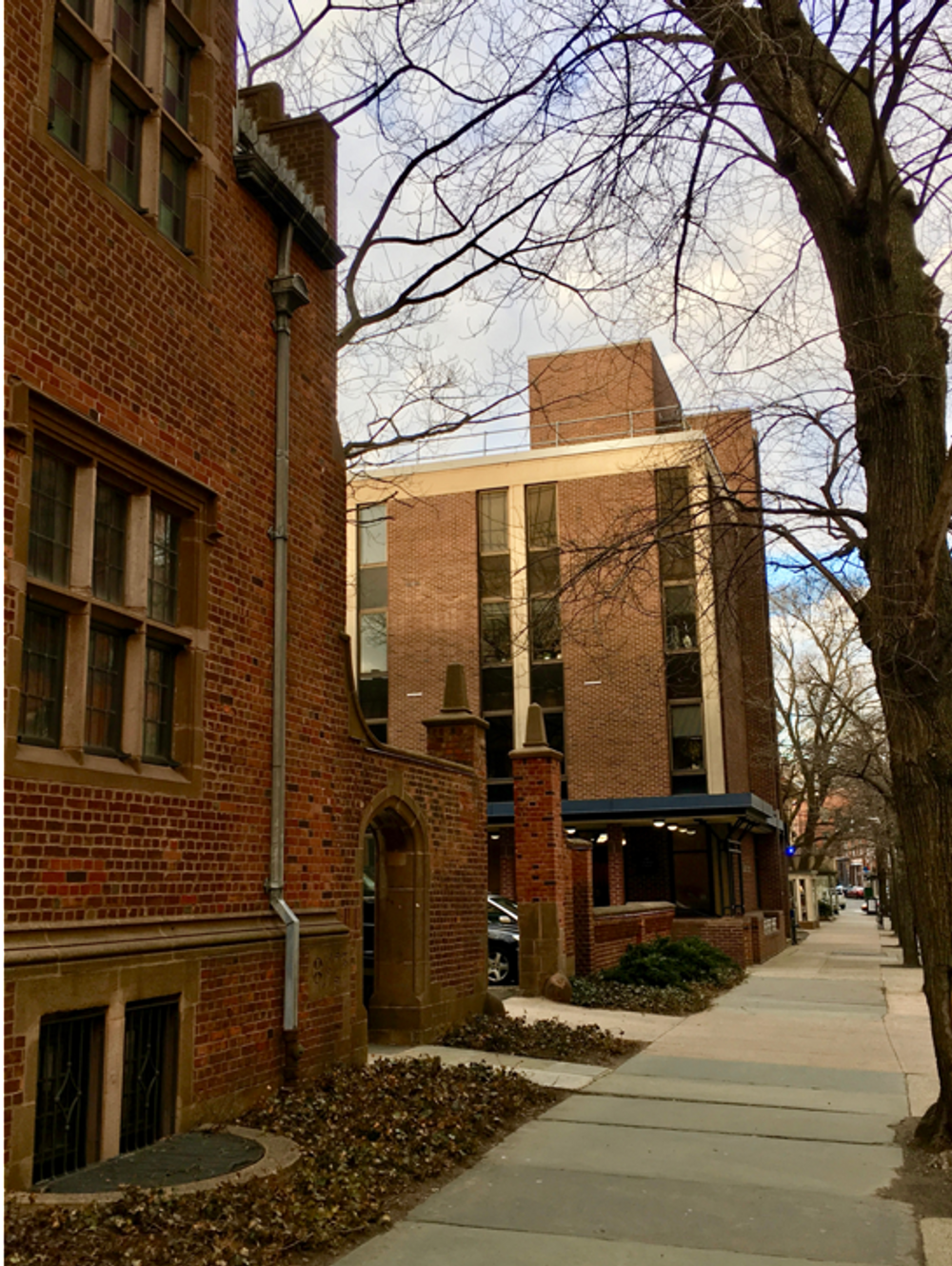gallery