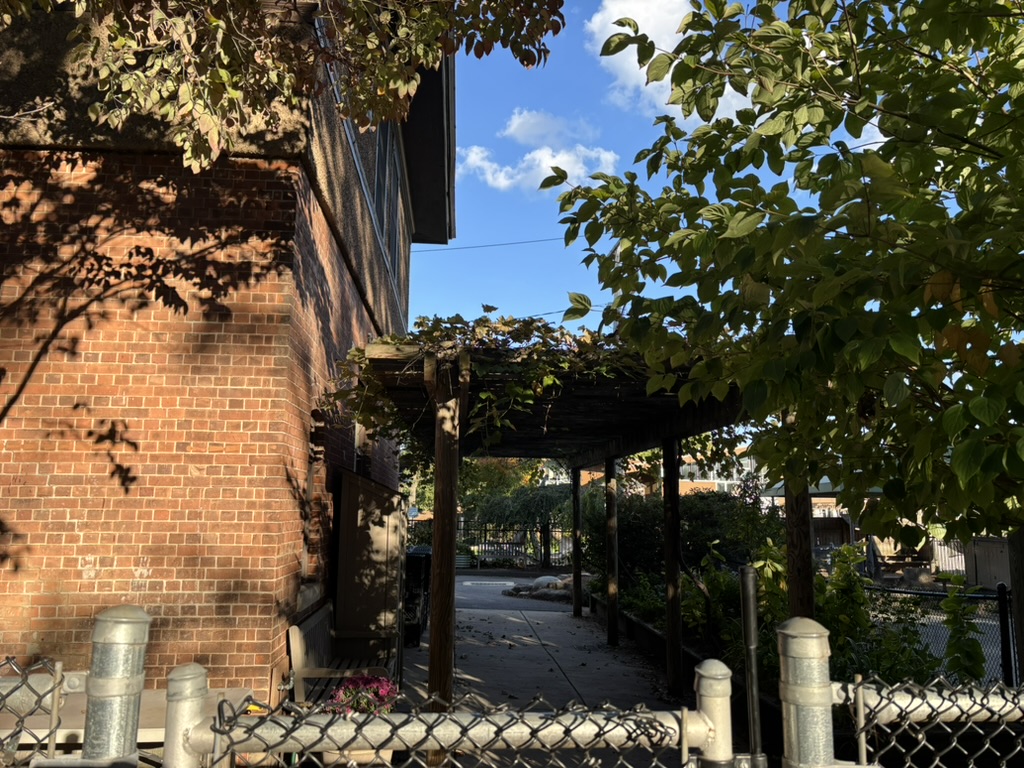 Back pergola with grapevines. Several trees, bushes, and flower pots in the foreground and background contrast with the brown building. 