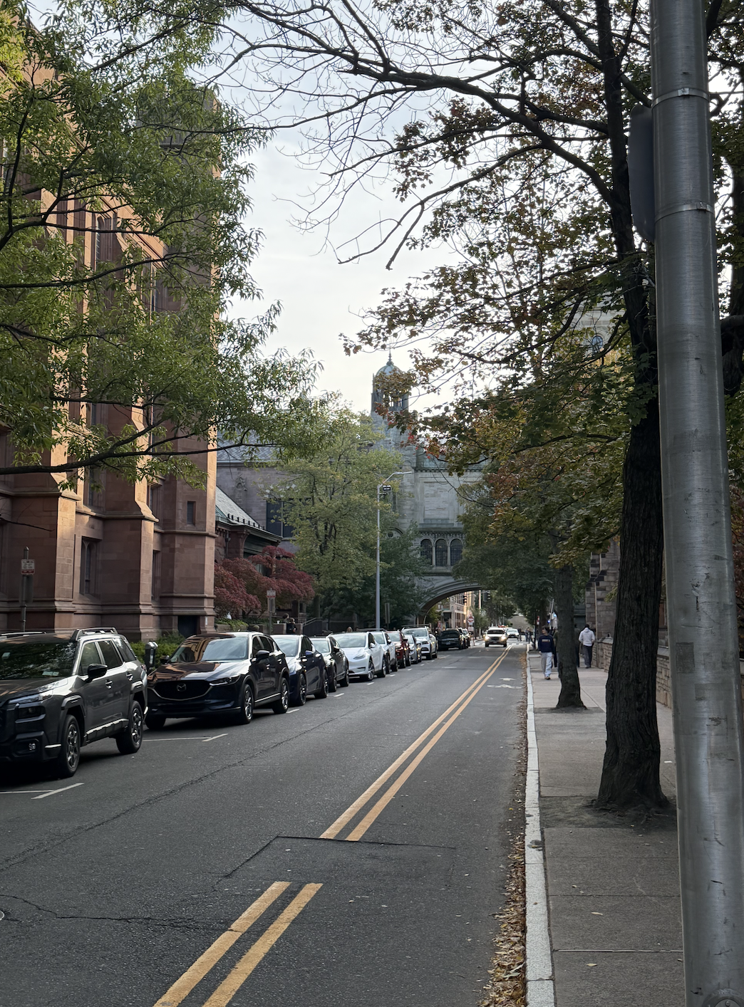 Standing eye-view of the Branford College, 74 High Street, Streetscape.