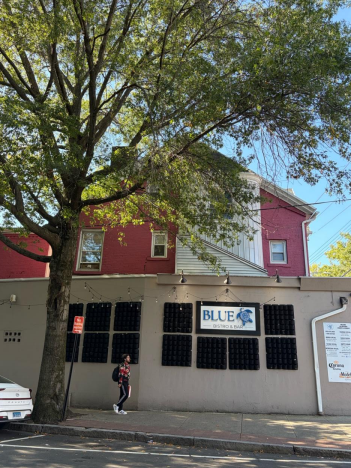 Image #2. View of 1180 Chapel from Park St.  